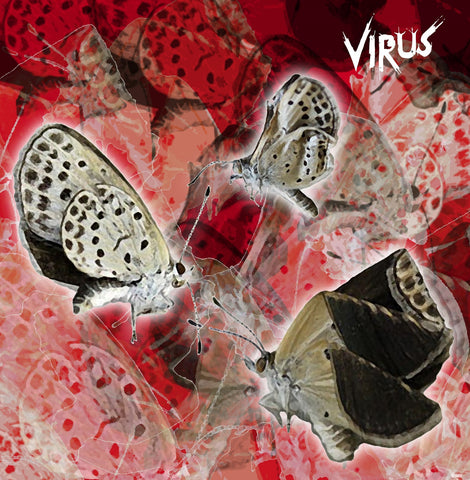 MAD24 Virus - It's Not What It Appears